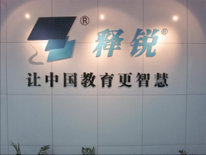 上海释锐网络信息服务 深耕软件产品与网络服务的领先力量