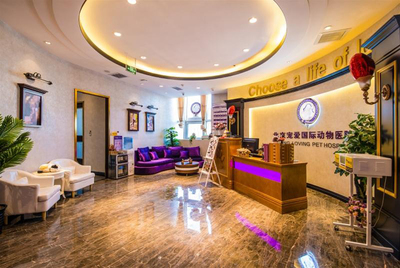 资本看好动物医疗赛道 宠爱国际完成C轮数亿元融资成为市场标杆