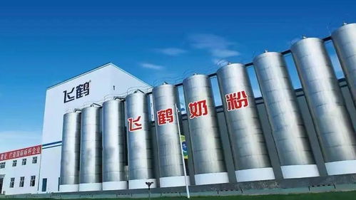 京东“越来越重” 一家上海网络服务公司的深度观察